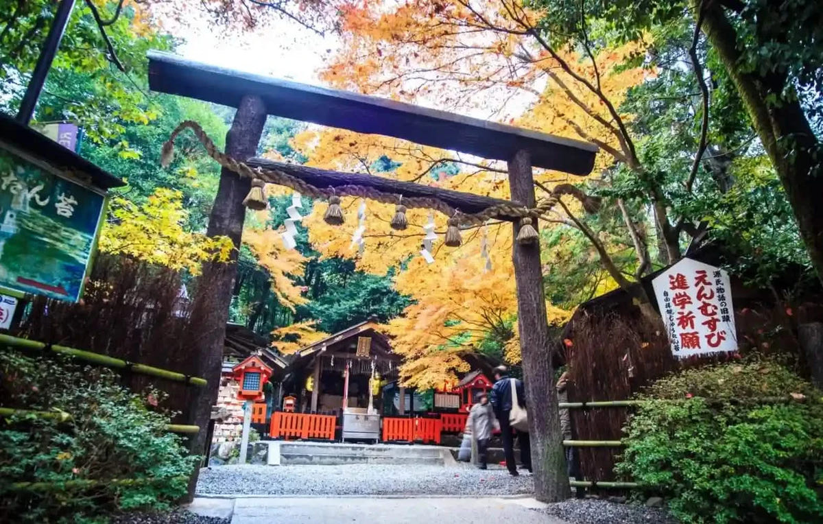 Nijo Castle, Arashiyama, Kinkaku-ji & Fushimi Inari from Kyoto/Osaka