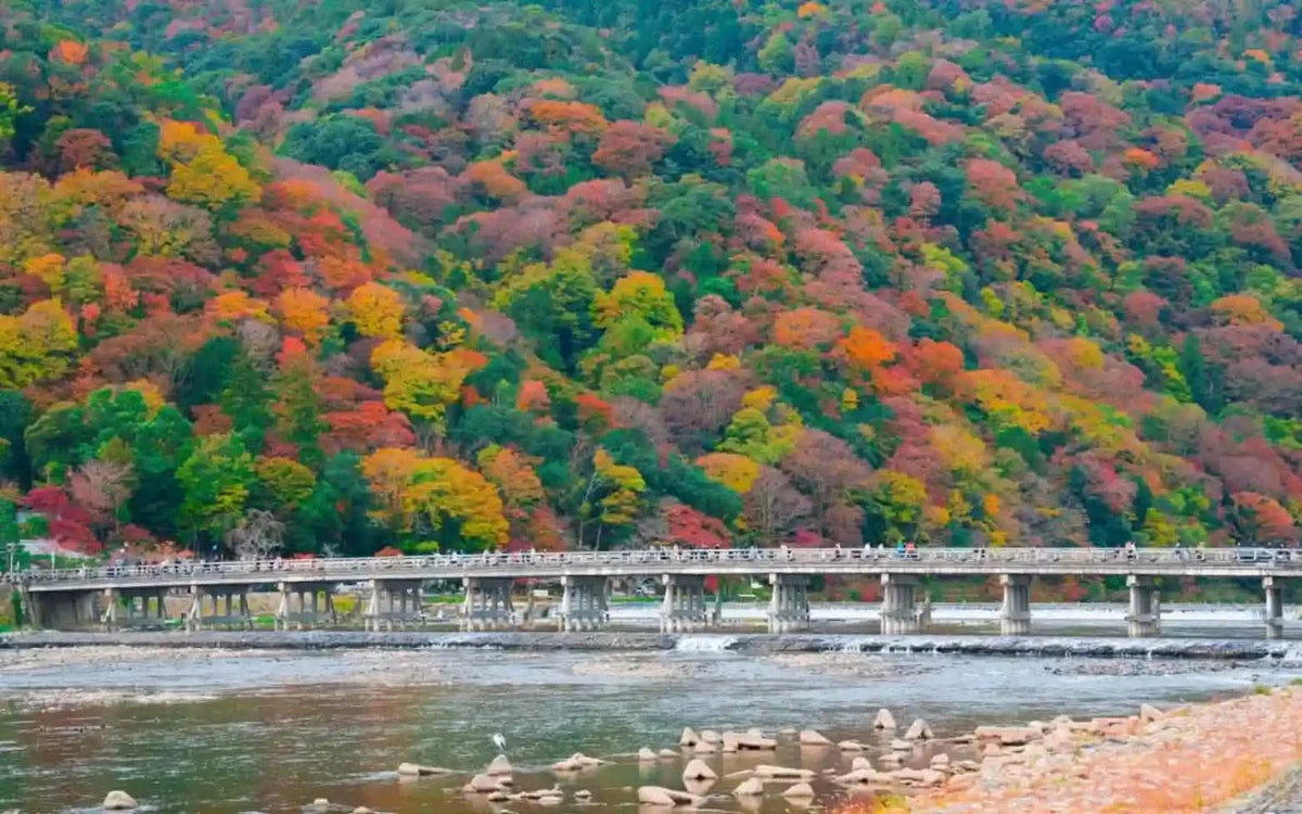 Arashiyama Sagano Train, Nara Park, Fushimi Inari Taisha Tour from  Osaka