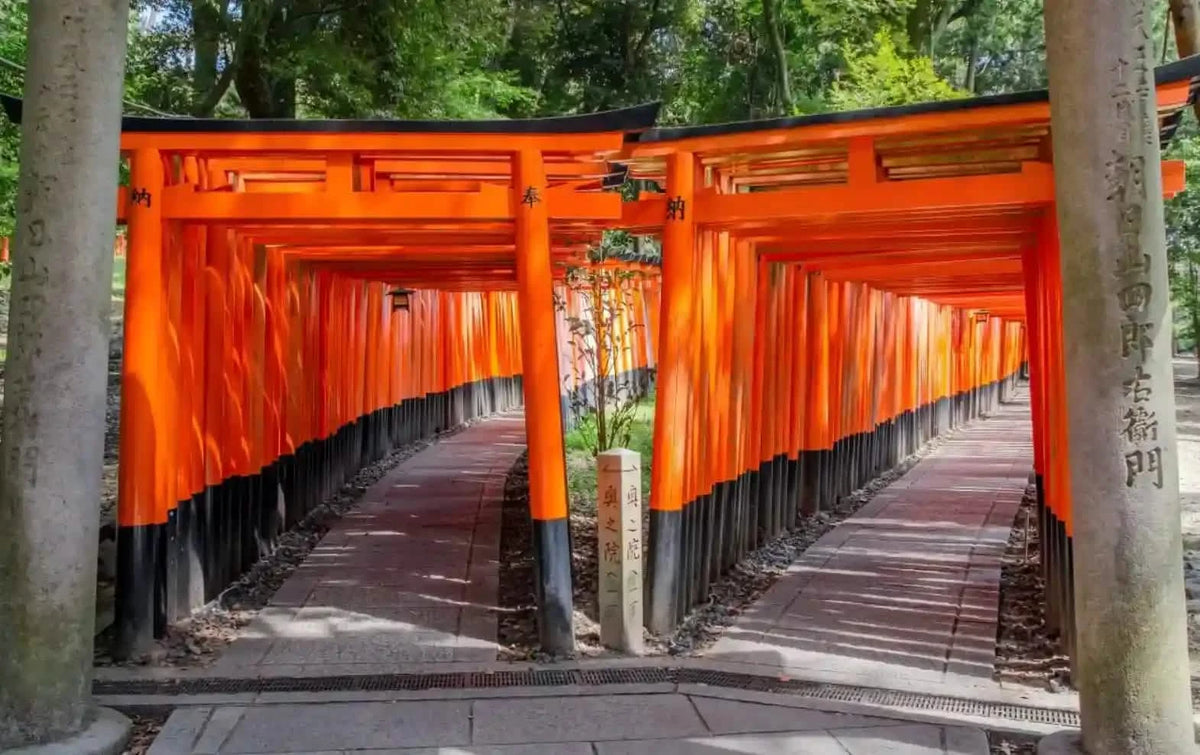 Fushimi Inari Taisha, Arashiyama, Nara from Osaka Hotel Pickup