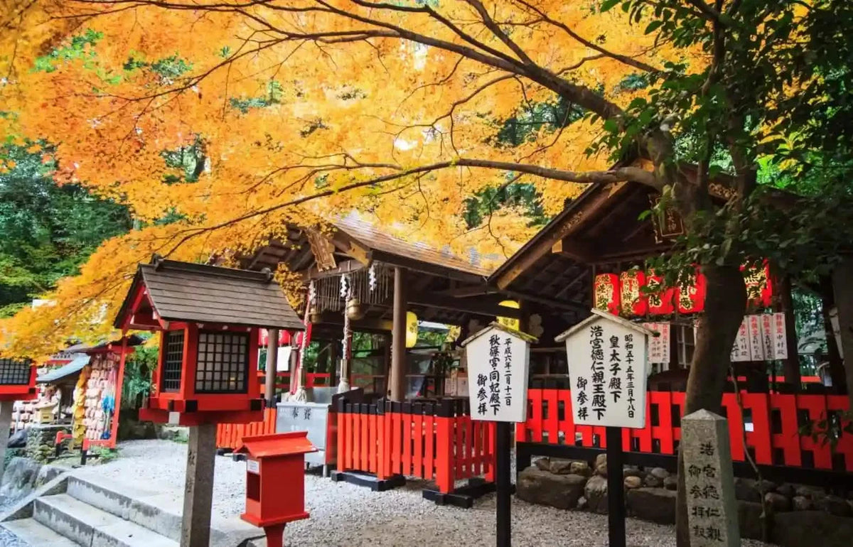 Arashiyama Sagano Train, Nara Park, Fushimi Inari Taisha Tour from  Osaka