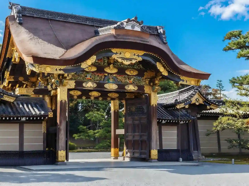 Nijo Castle, Arashiyama & Kinkaku-ji from Kyoto/Osaka