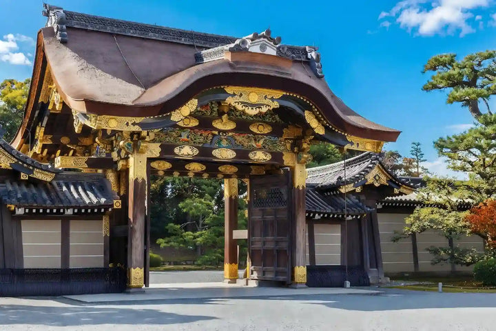 Nijo Castle, Arashiyama & Kinkaku-ji from Kyoto/Osaka
