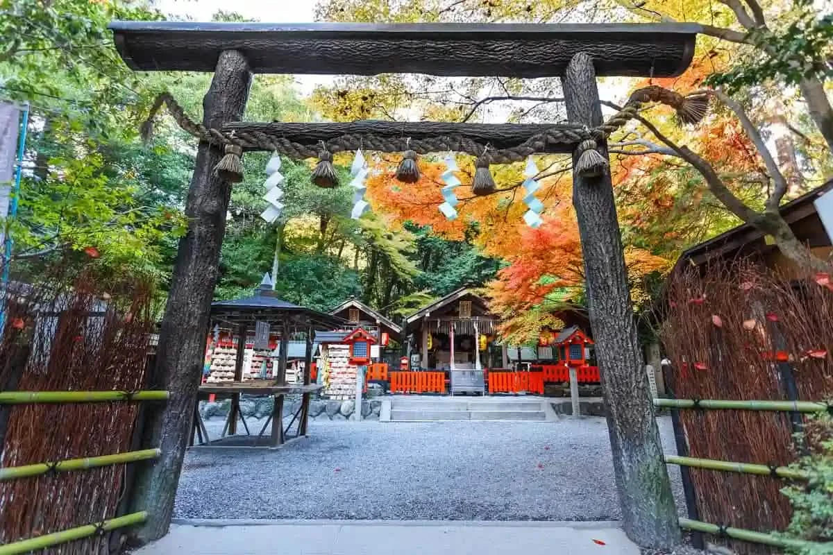 Arashiyama Sagano Train, Nara Park, Fushimi Inari Taisha Tour from  Osaka