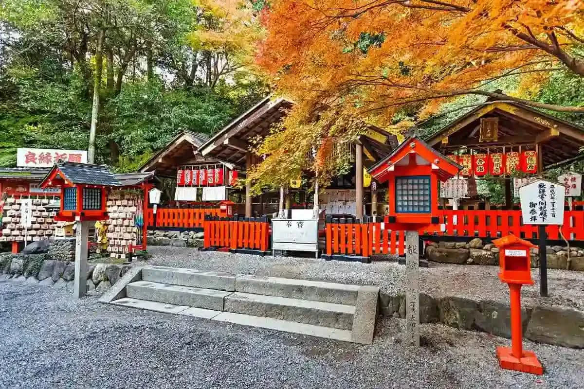 Arashiyama Sagano Train, Nara Park, Fushimi Inari Taisha Tour from  Osaka