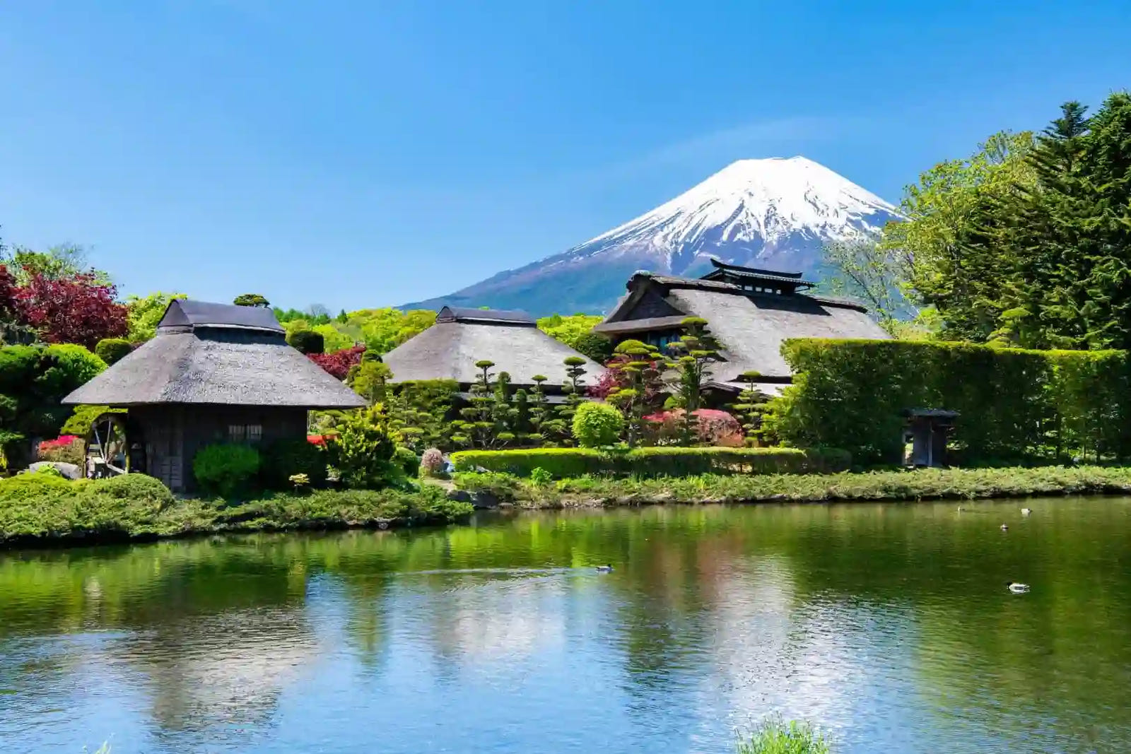 Read Our Japan Travel Guide