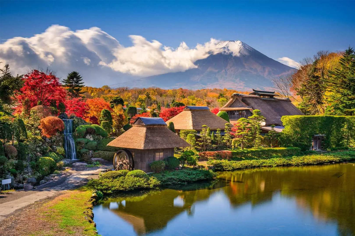 Mt Fuji Day Tour: Chureito Pagoda, Oshino Hakkai & Yamanaka from Tokyo