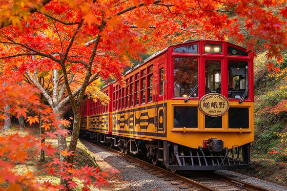 Private Arashiyama Sagano Train, Nara Park, Fushimi Inari Tour from Osaka