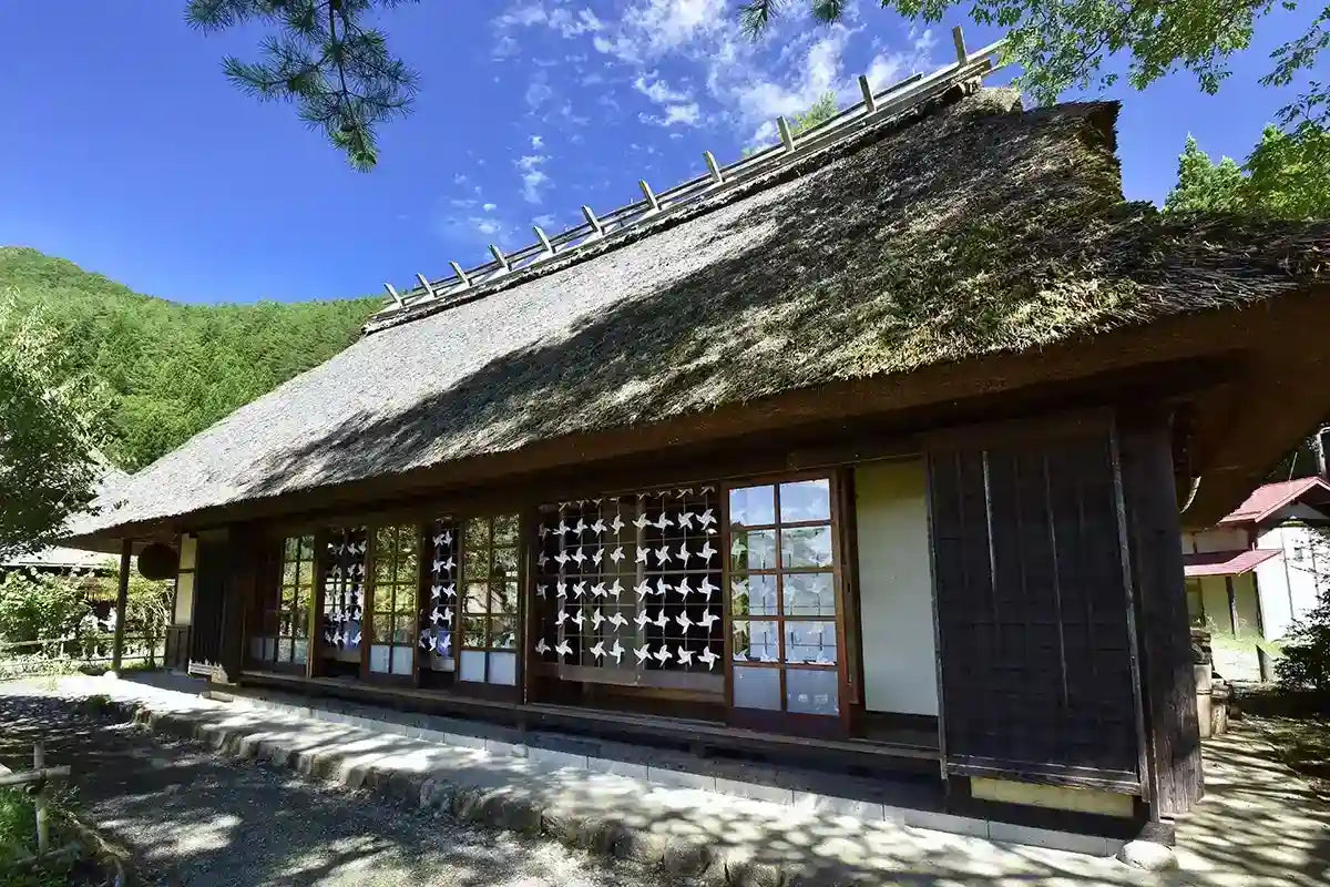 Mt. Fuji Day Tour: Saiko Iyashi-no-Sato, Kawaguchiko & Chureito Pagoda from Tokyo