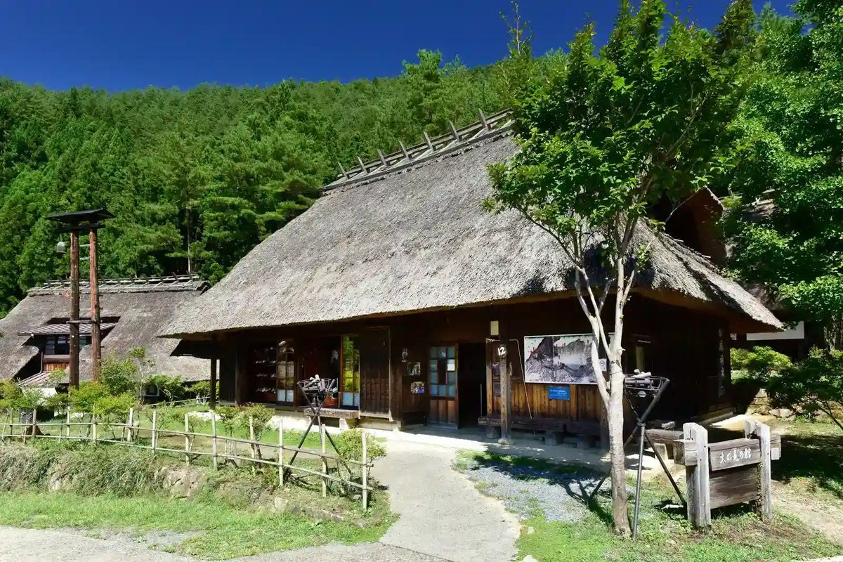 Mt. Fuji Day Tour: Saiko Iyashi-no-Sato, Kawaguchiko & Chureito Pagoda from Tokyo