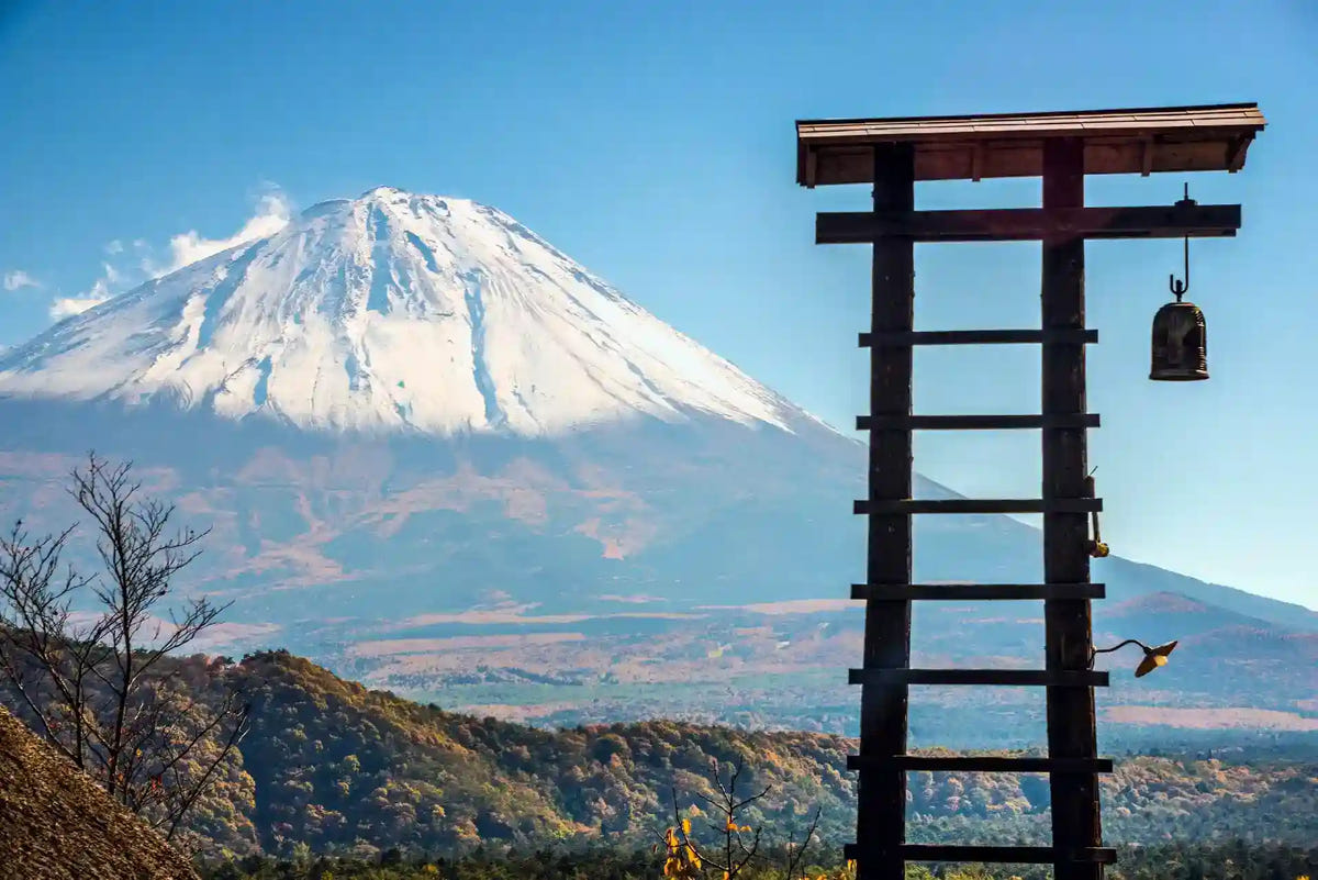 Mt. Fuji Day Tour: Saiko Iyashi-no-Sato, Kawaguchiko & Chureito Pagoda from Tokyo