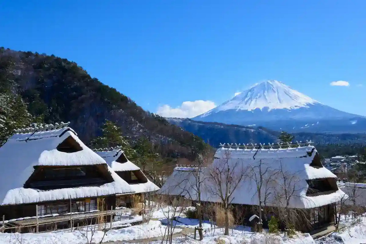 Mt. Fuji Day Tour: Saiko Iyashi-no-Sato, Kawaguchiko & Chureito Pagoda from Tokyo