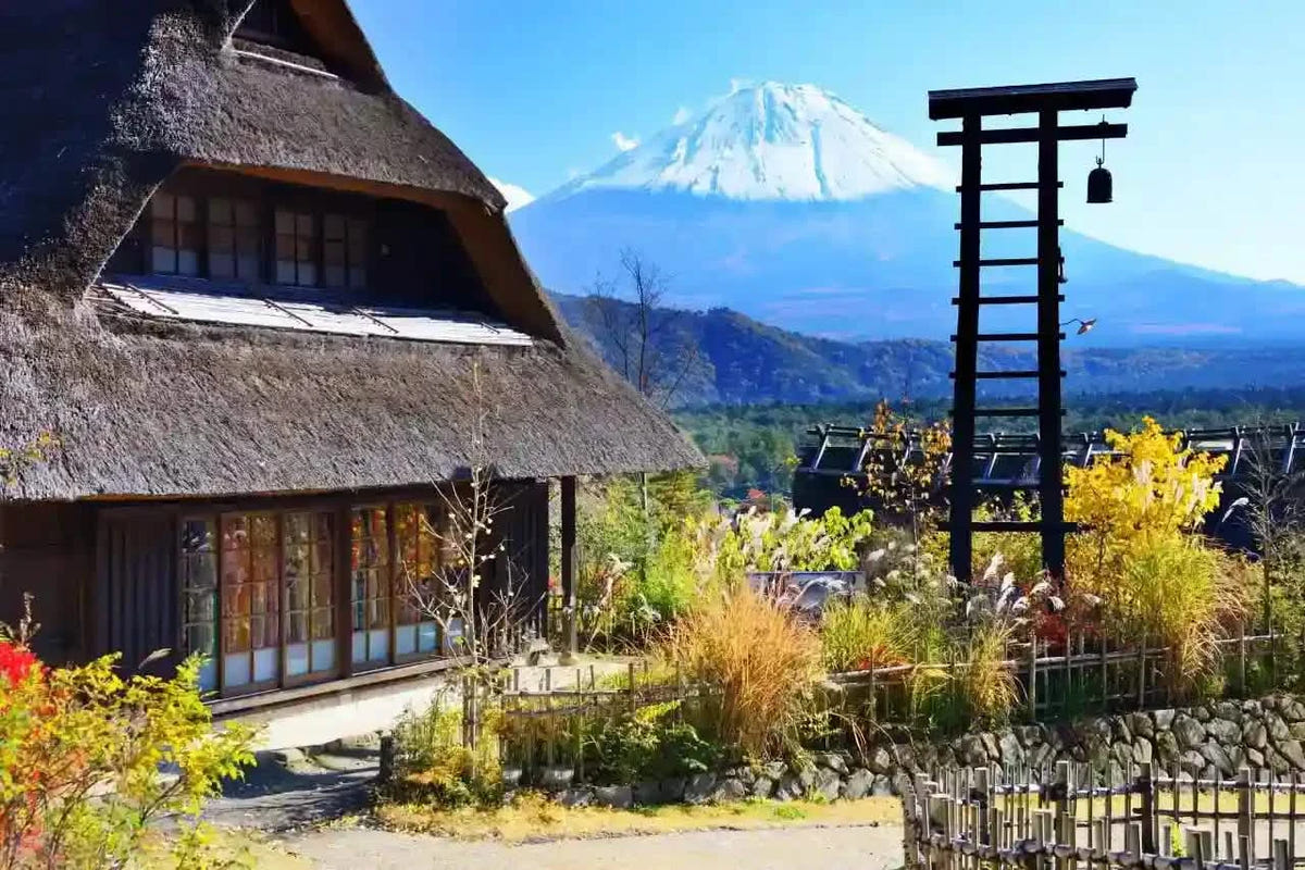 Private Mt Fuji Shibazakura, Oishi Park, Arakurayama Day Tour from Tokyo