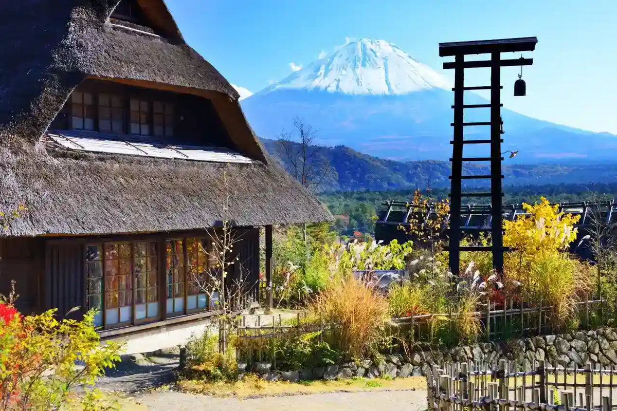 Mt. Fuji Day Tour: Saiko Iyashi-no-Sato, Kawaguchiko & Chureito Pagoda from Tokyo