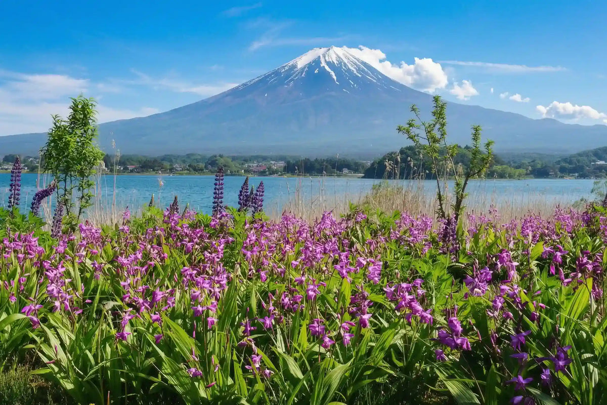 Mt. Fuji Day Tour: Saiko Iyashi-no-Sato, Kawaguchiko & Chureito Pagoda from Tokyo