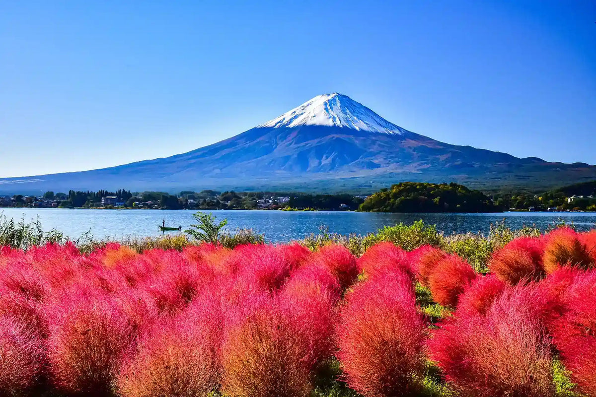 Mt. Fuji Day Tour: Saiko Iyashi-no-Sato, Kawaguchiko & Chureito Pagoda from Tokyo