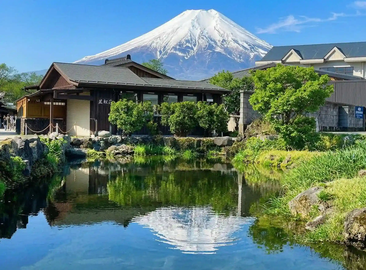 Hakone & Mt Fuji Day Tour: Lake Ashi, Owakudani & Chureito Pagoda from Tokyo
