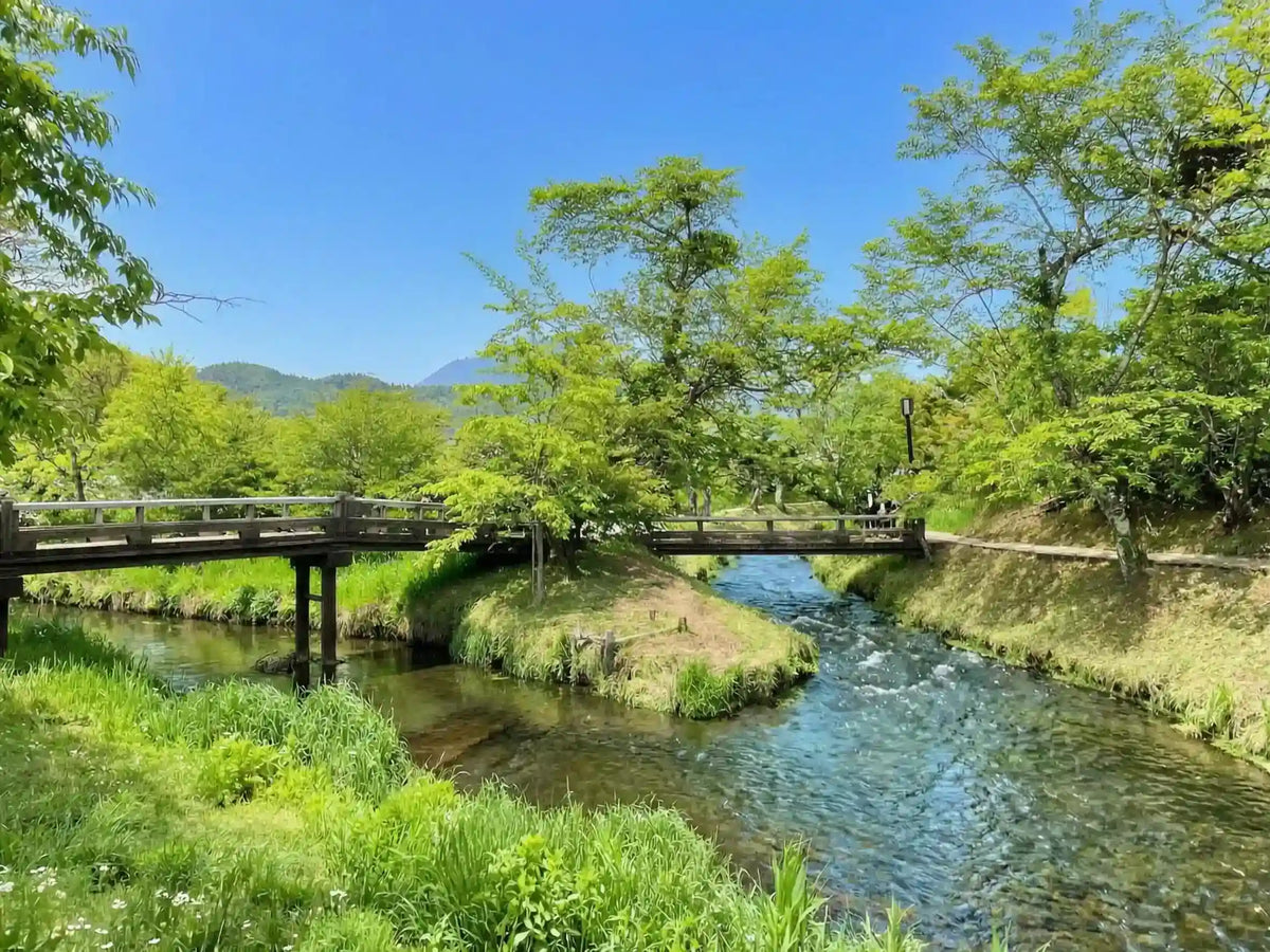Mt. Fuji Day Tour: Saiko Iyashi-no-Sato, Kawaguchiko & Chureito Pagoda from Tokyo