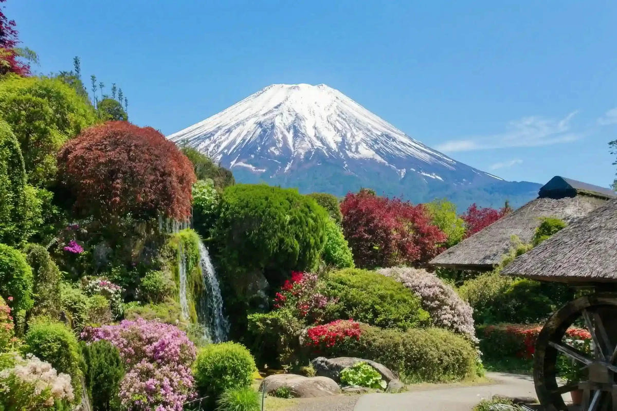 Private Mt Fuji Day Tour: Chureito Pagoda, Oshino Hakkai & Yamanaka from Tokyo