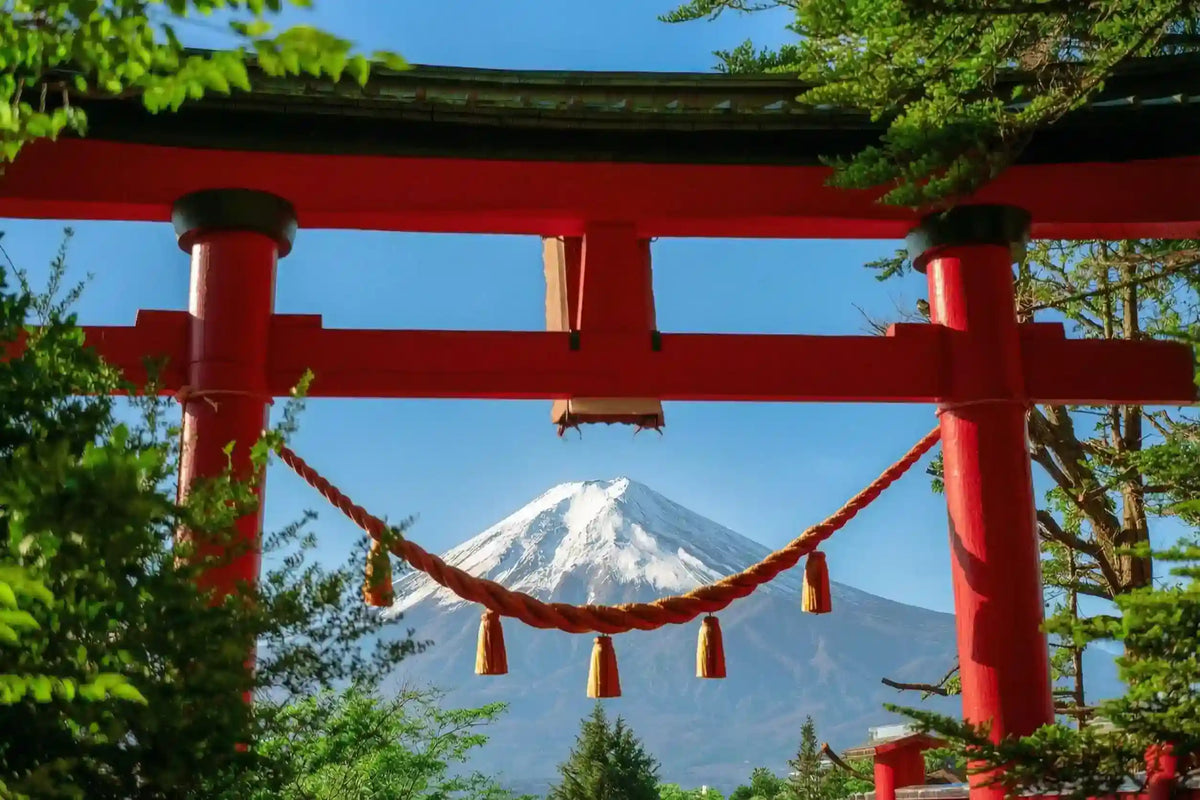 Hakone & Mt Fuji Day Tour: Lake Ashi, Owakudani & Chureito Pagoda from Tokyo