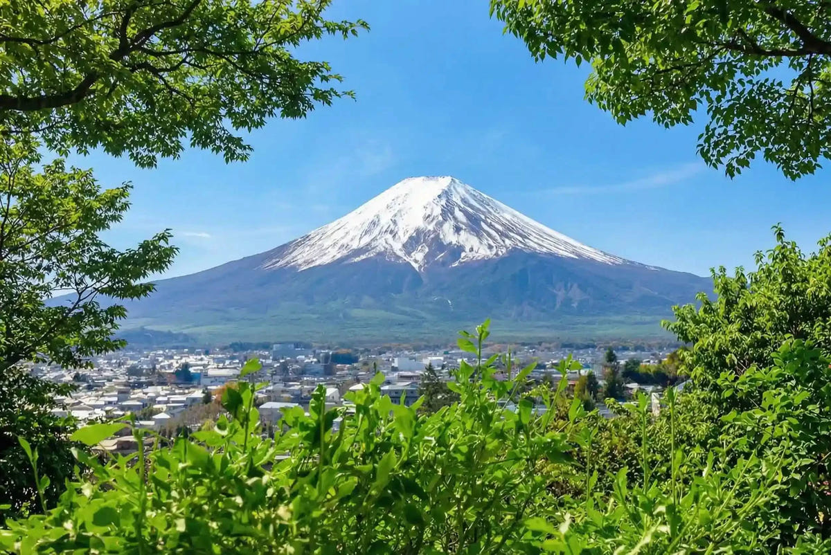 Private Mt Fuji Day Tour: Chureito Pagoda, Oshino Hakkai & Yamanaka from Tokyo