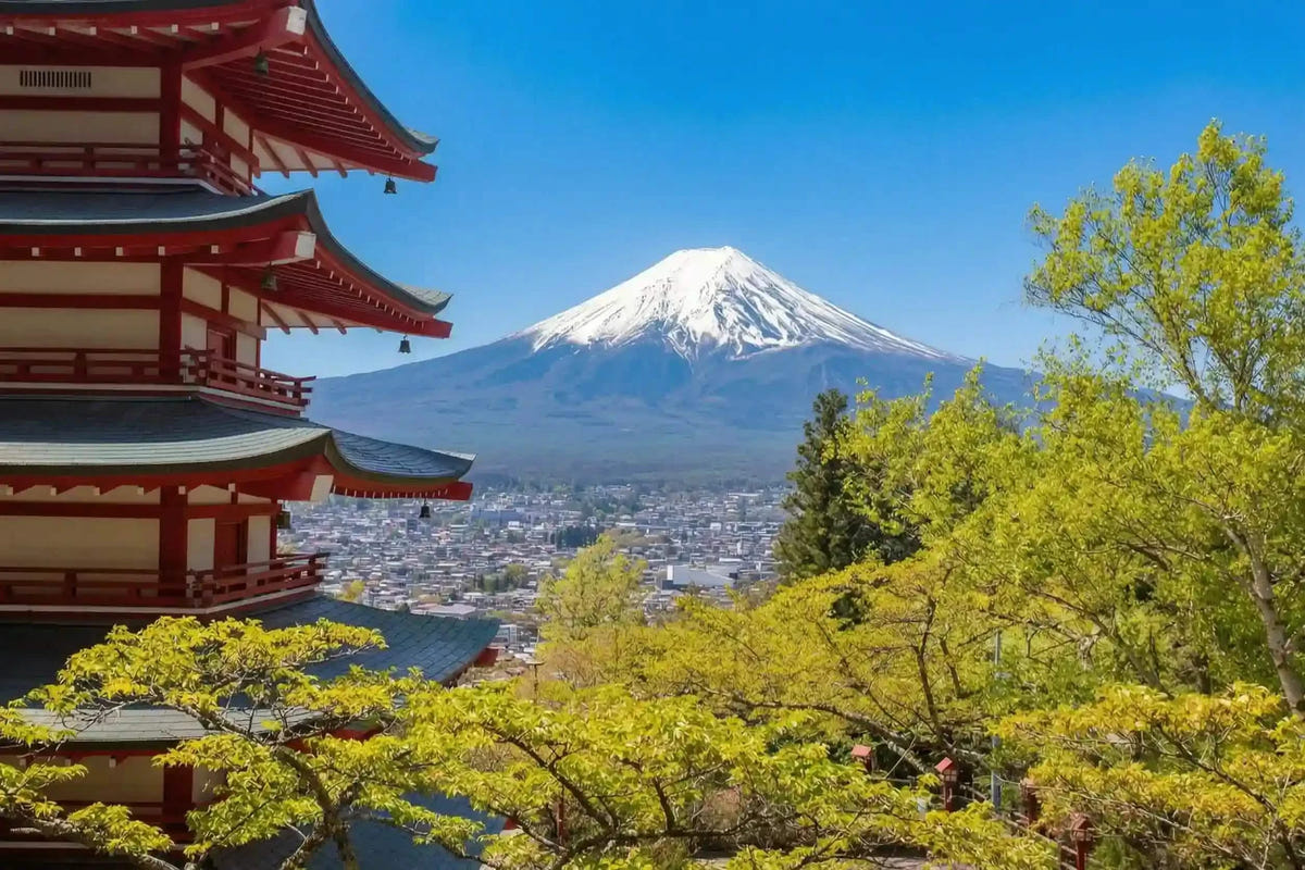 Private Mt Fuji Day Tour: Chureito Pagoda, Oshino Hakkai & Yamanaka from Tokyo