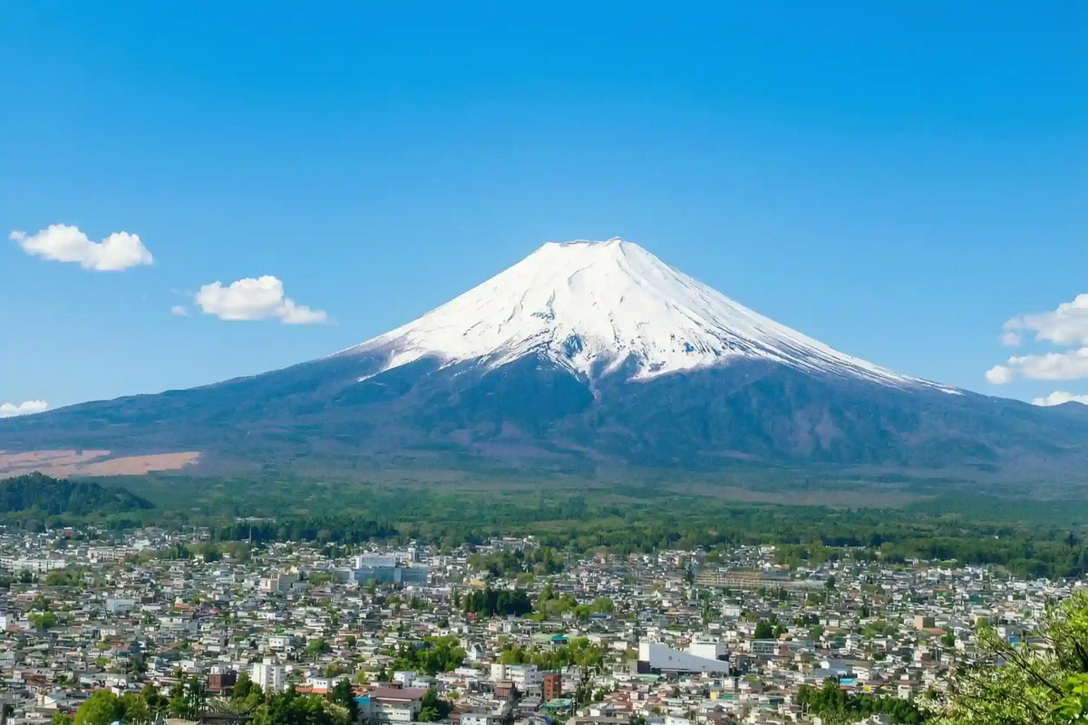Mt. Fuji Day Tour: Saiko Iyashi-no-Sato, Kawaguchiko & Chureito Pagoda from Tokyo