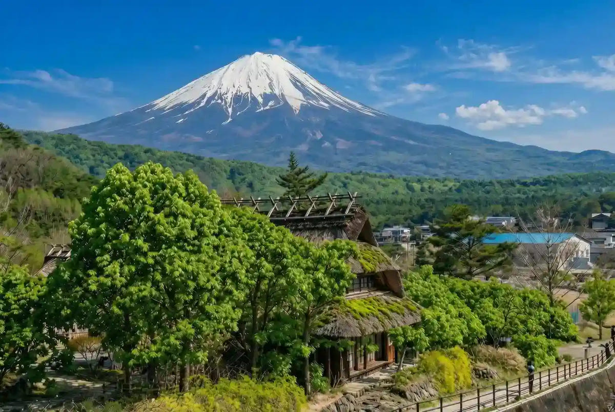 Mt. Fuji Day Tour: Saiko Iyashi-no-Sato, Kawaguchiko & Chureito Pagoda from Tokyo