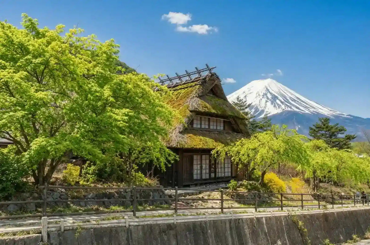 Mt. Fuji Day Tour: Saiko Iyashi-no-Sato, Kawaguchiko & Chureito Pagoda from Tokyo