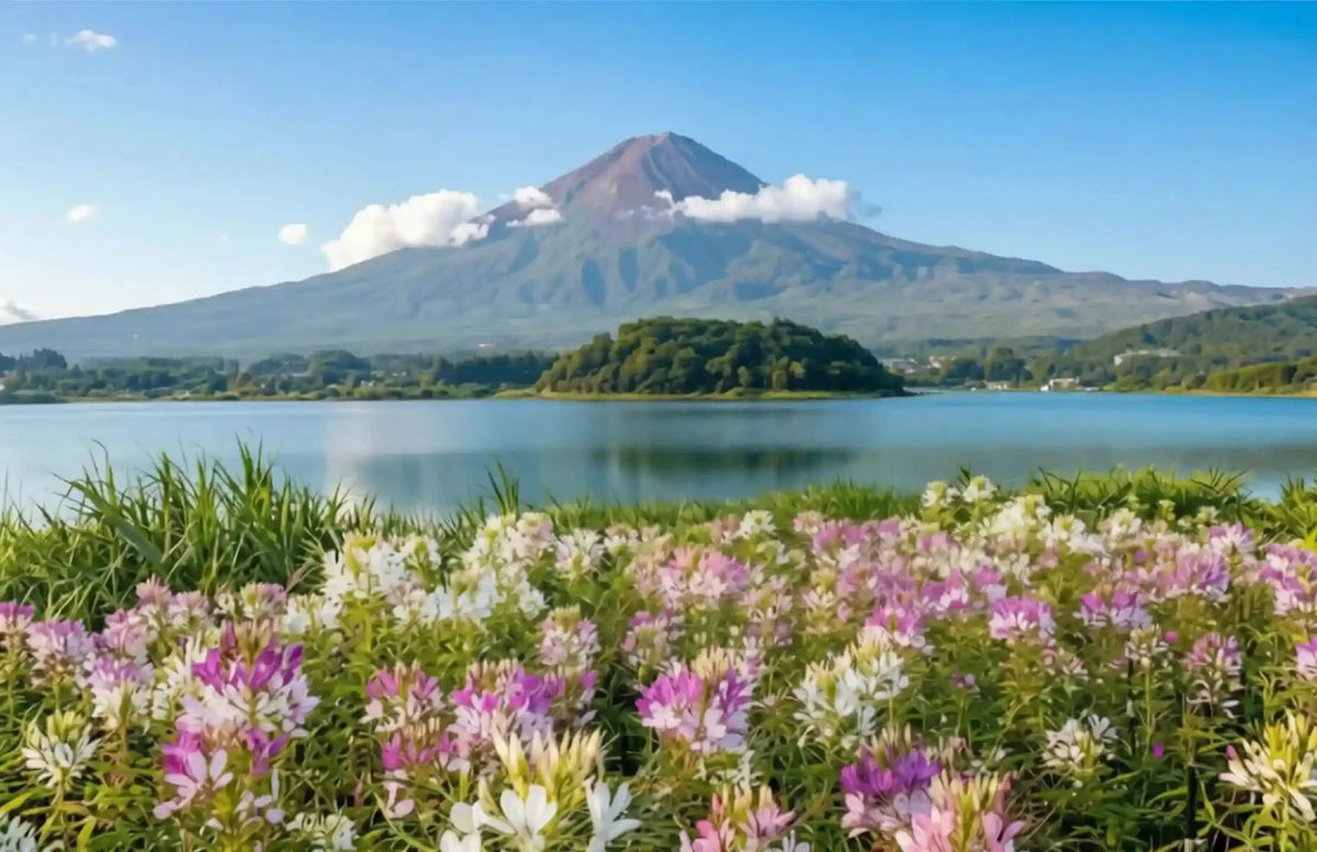 Mt. Fuji Day Tour: Saiko Iyashi-no-Sato, Kawaguchiko & Chureito Pagoda from Tokyo