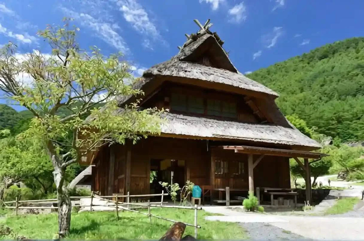 Mt. Fuji Day Tour: Saiko Iyashi-no-Sato, Kawaguchiko & Chureito Pagoda from Tokyo