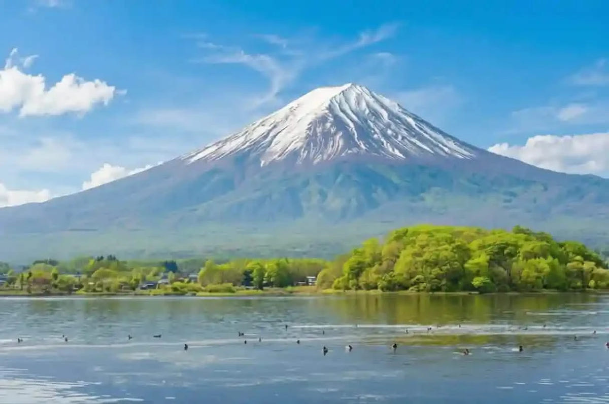 Private Mt Fuji Day Tour: Chureito Pagoda, Oshino Hakkai & Yamanaka from Tokyo