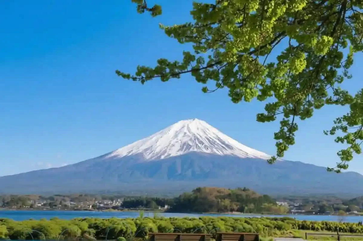 Mt. Fuji Day Tour: Saiko Iyashi-no-Sato, Kawaguchiko & Chureito Pagoda from Tokyo