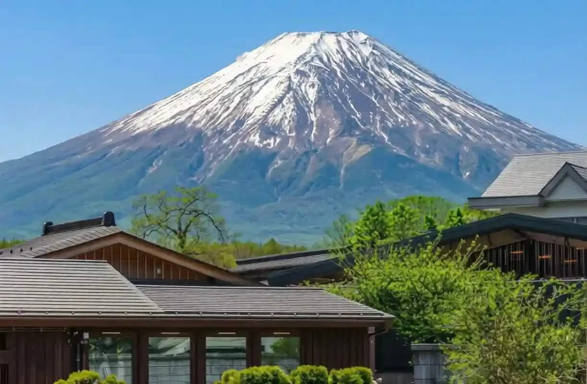 Mt. Fuji Day Tour: Saiko Iyashi-no-Sato, Kawaguchiko & Chureito Pagoda from Tokyo