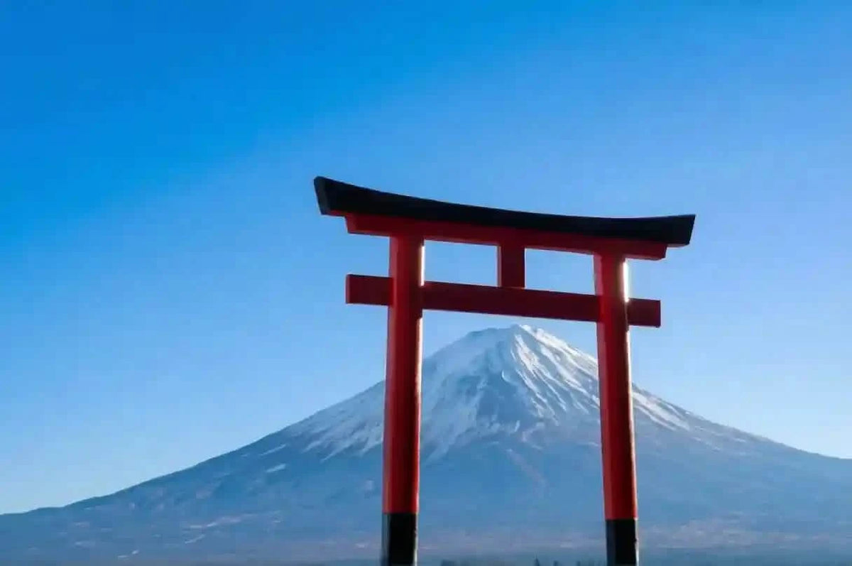Mt. Fuji Day Tour: Saiko Iyashi-no-Sato, Kawaguchiko & Chureito Pagoda from Tokyo