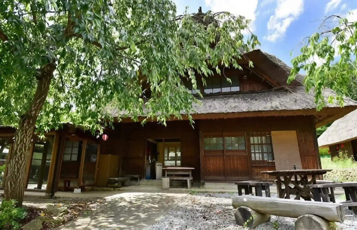 Mt. Fuji Day Tour: Saiko Iyashi-no-Sato, Kawaguchiko & Chureito Pagoda from Tokyo
