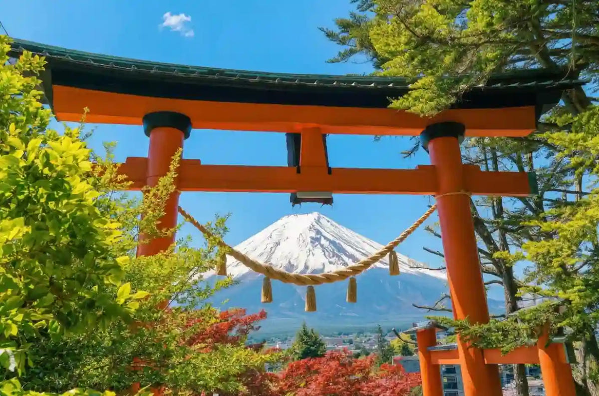Private Mt. Fuji Day Tour: Chureito Pagoda, Kawaguchiko & Oshino Hakkai from Tokyo