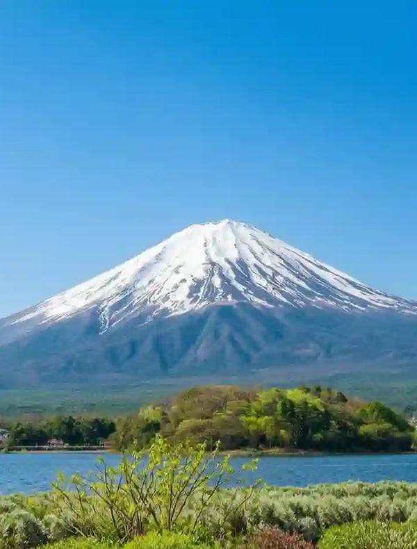 Mount Fuji