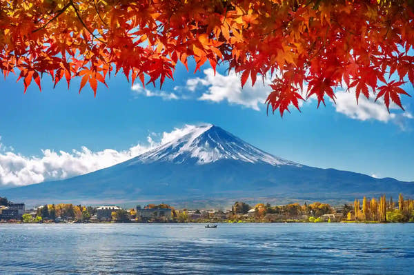 Fall Foliage