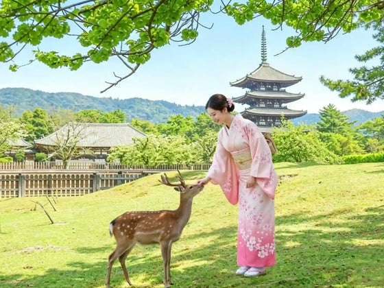 Kyoto & Nara Private Customizable Day Tour