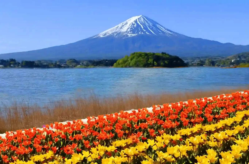 Oishi Park(30 minutes)