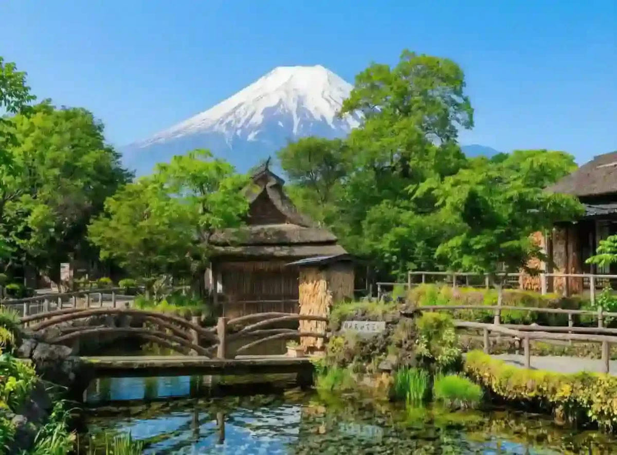 Private Mount Fuji Panoramic Ropeway, Lake Kawaguchi Tour from Tokyo
