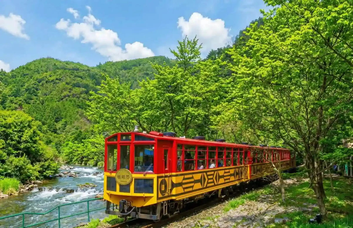 Private Arashiyama Sagano Train, Nara Park, Fushimi Inari Tour from Osaka